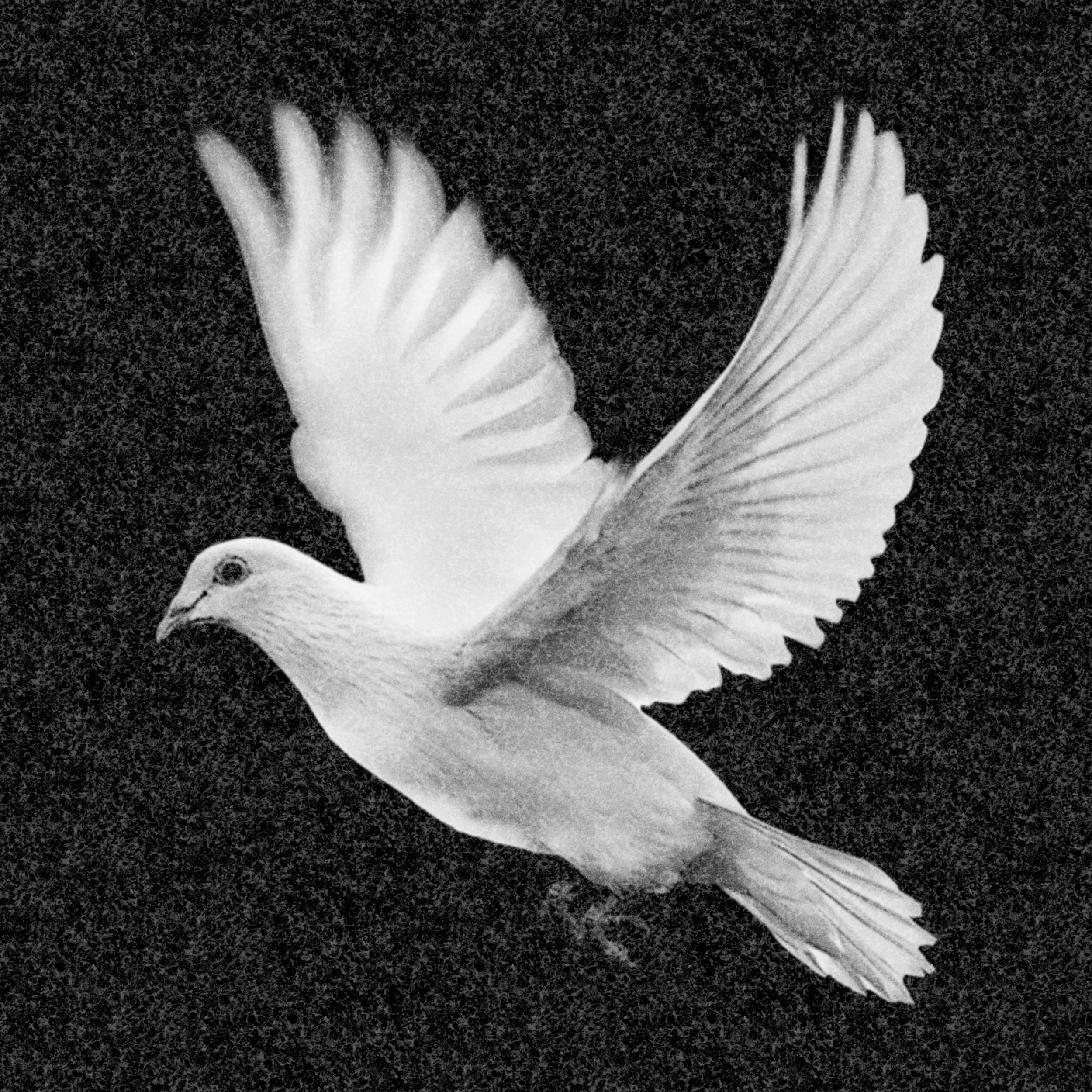 Рисунки | Рисунок на гранитную стелу, РГ-002