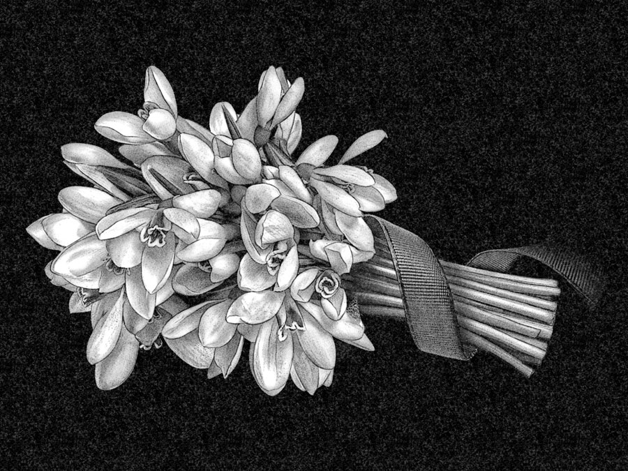 Цветы | Рисунок букет, ЦВ-029